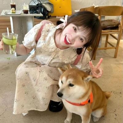 天网情网