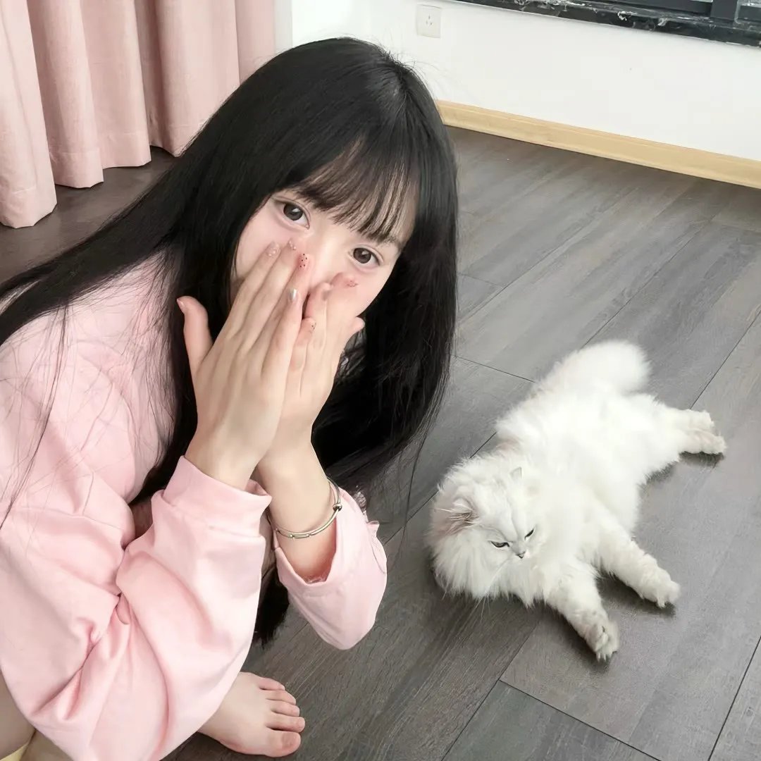 秦颂